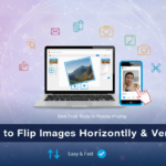 Lifestyle Images vs White Background Images: Which Converts Better?